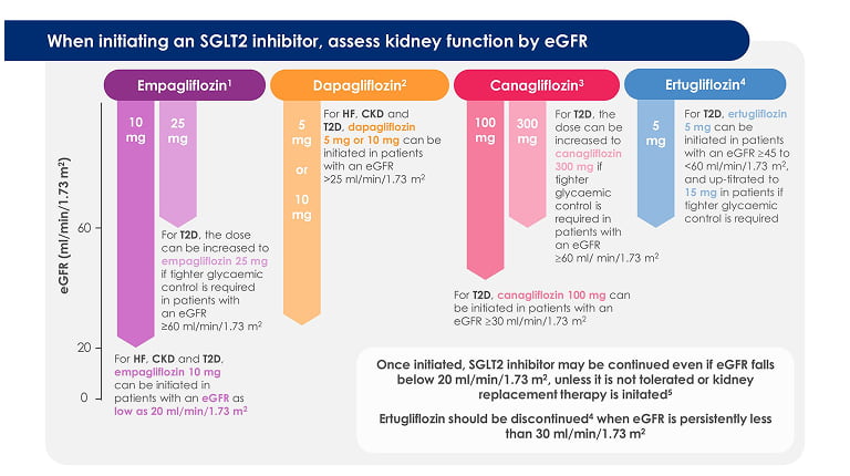 Practical considerations for the use of SGLT2 inhibitors – Infographic